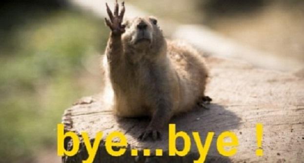 Bye bye