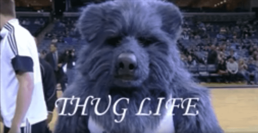 Grizzlies, preview
