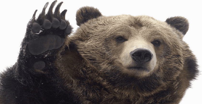 Grizzly
