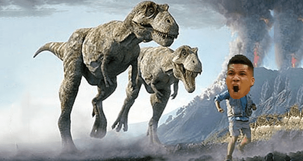 Raptors