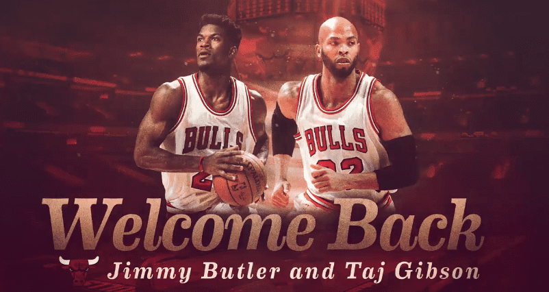 bulls