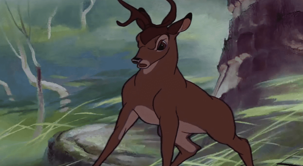 bucks