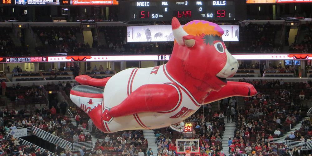 Chicago Bulls