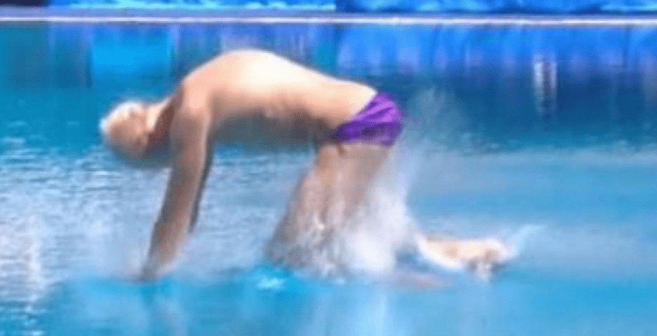 plongeon