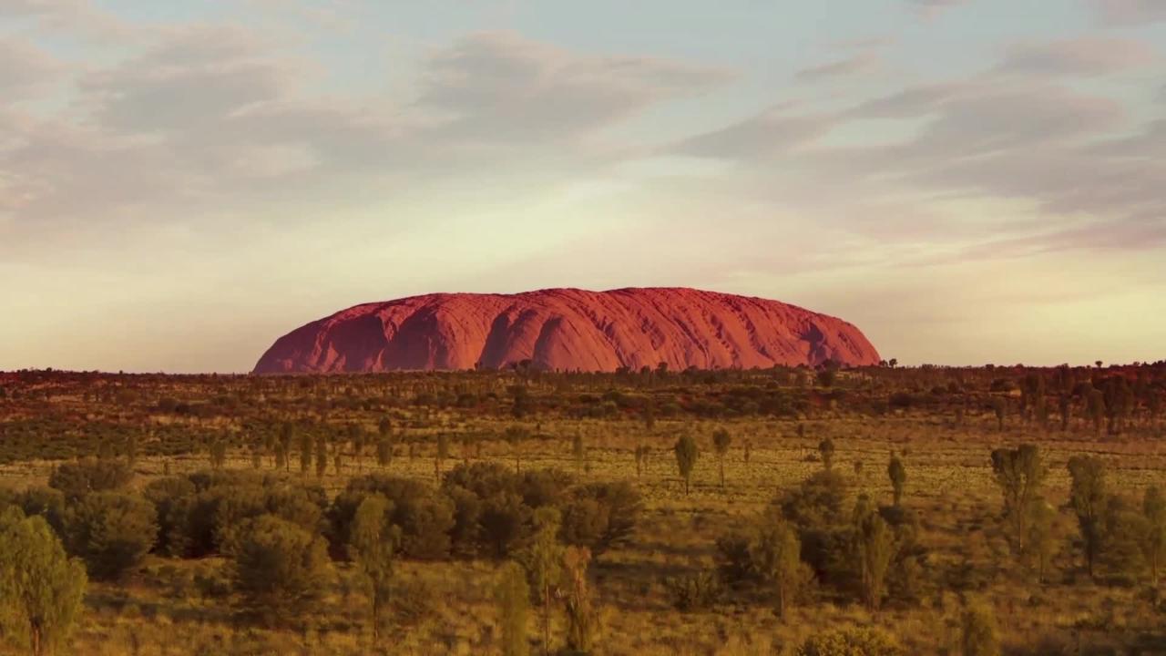 Red center