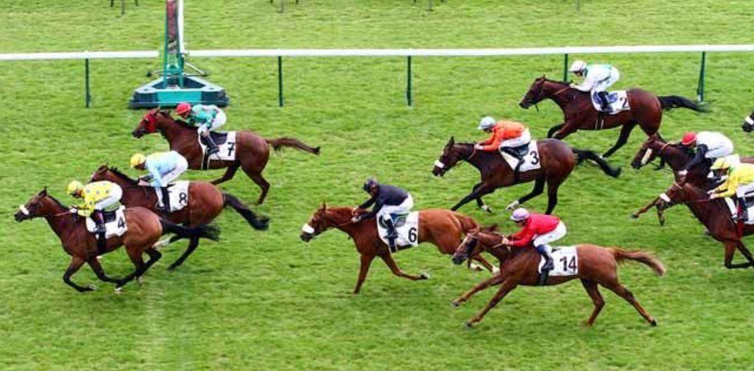 Tiercé 11 décembre