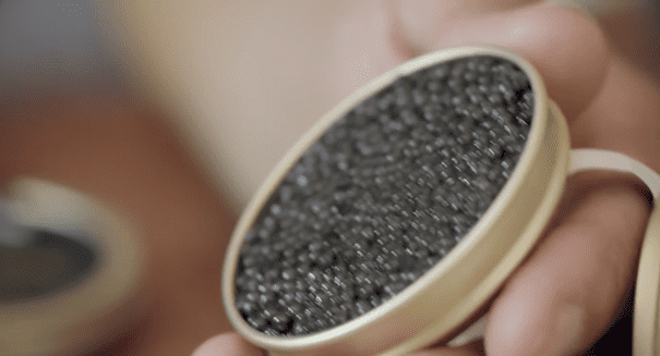 NBA caviar preview