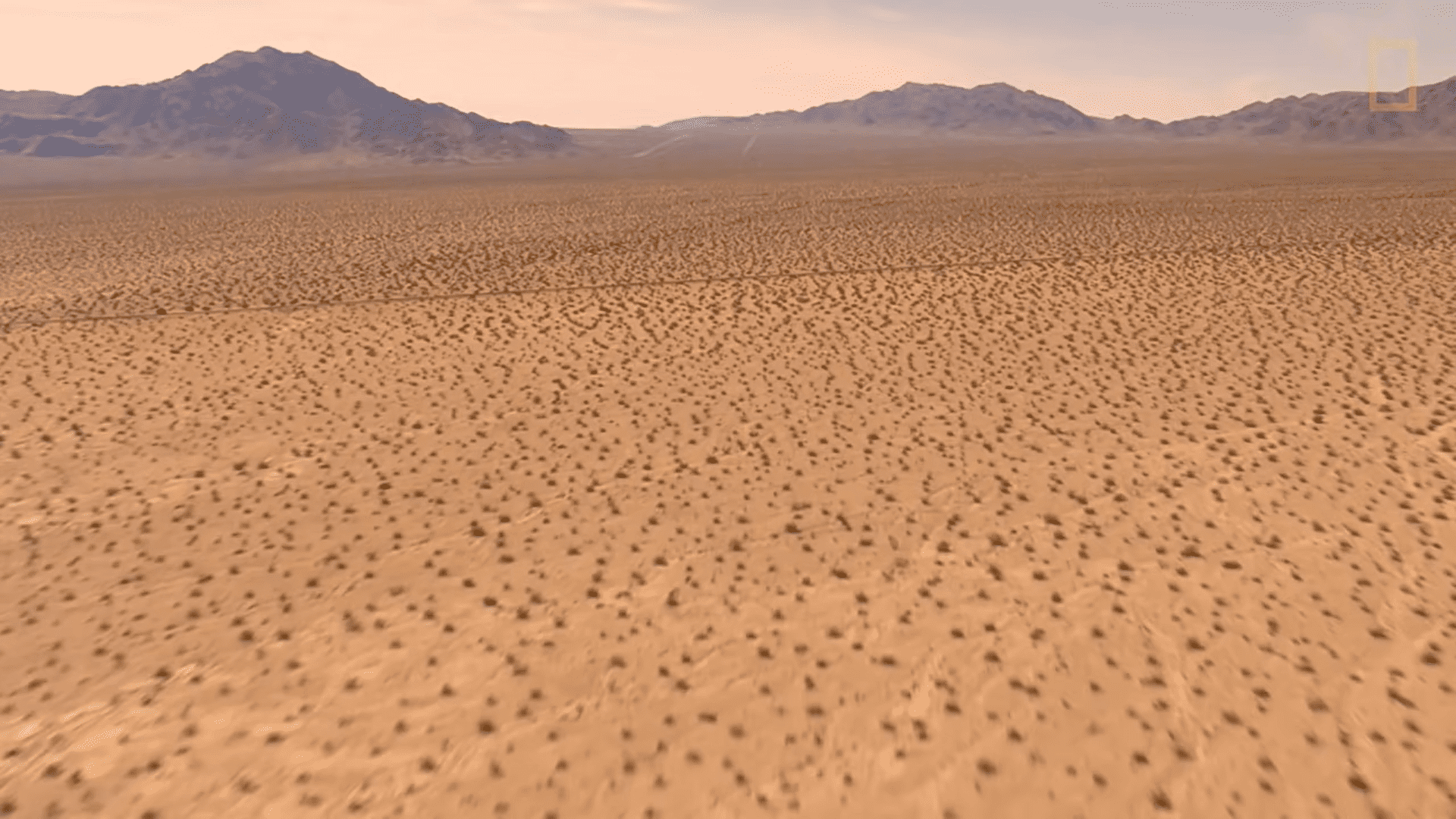 Désert 26 novembre 2021